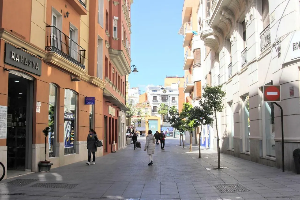 Daire Homely Malaga Atarazanas